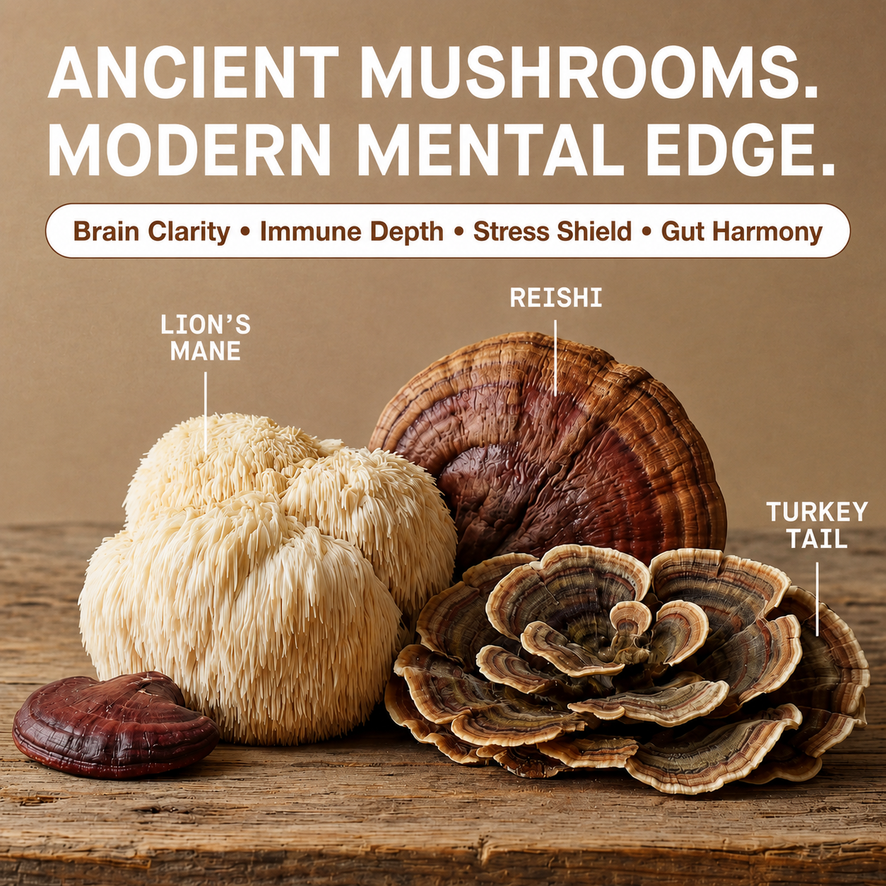 Superfood Mushroom Blend Capsules